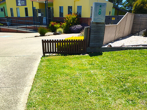 Garden Care & General Maintenance