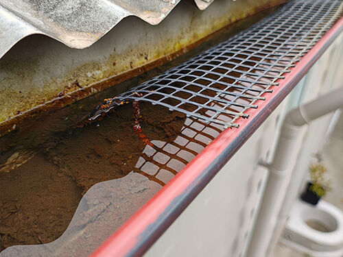 Pressure Washing & Gutter Cleaning