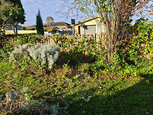 Garden Clean Ups