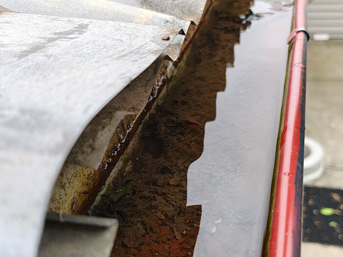 Pressure Washing + Gutter Cleaning