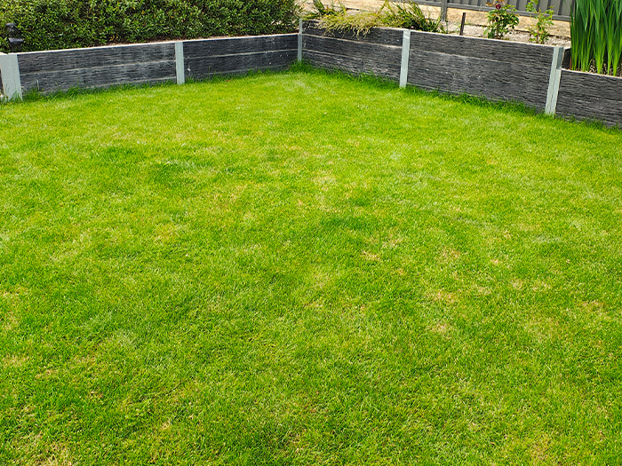 Professional Lawn Care