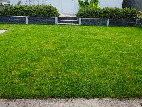 Lawnmowing + Lawn Care