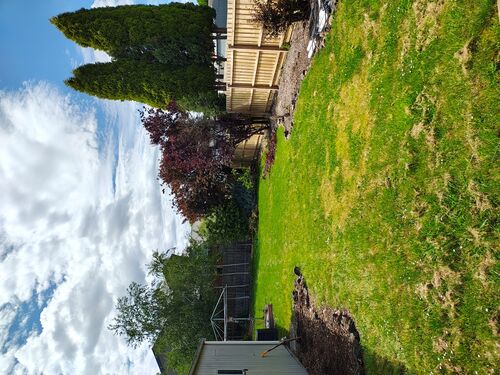 I + O Property Maintenance + Gardening Ballarat