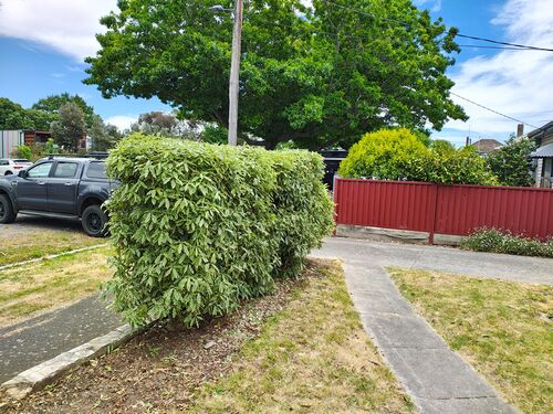 I + O Property Maintenance + Gardening Ballarat