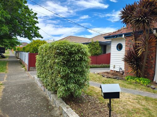 I + O Property Maintenance + Gardening Ballarat