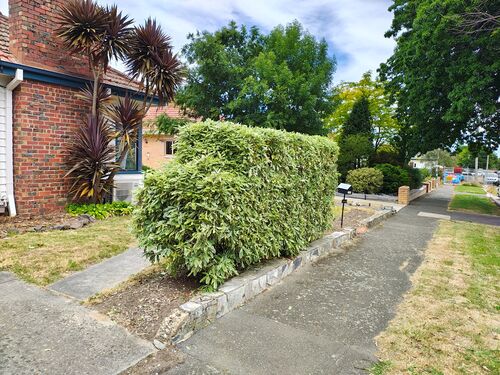 I + O Property Maintenance + Gardening Ballarat