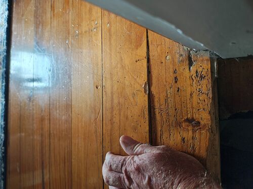 I + O Property Maintenance + Gardening Ballarat