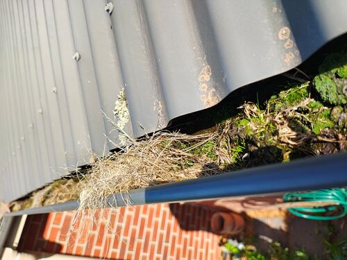 I + O Property Maintenance + Gardening Ballarat