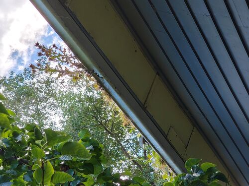 I + O Property Maintenance + Gardening Ballarat