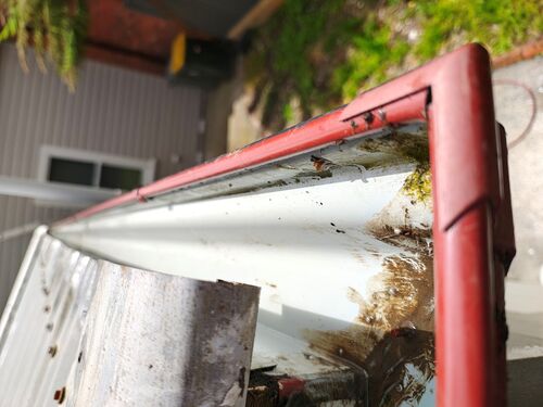 I + O Property Maintenance + Gardening Ballarat