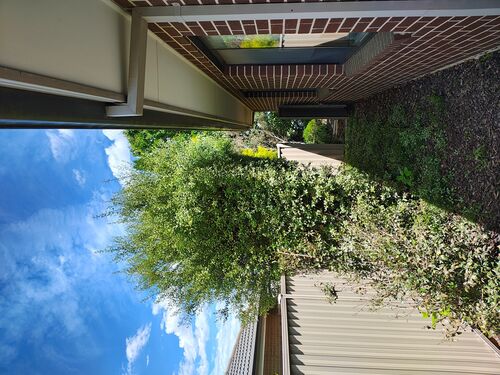 I + O Property Maintenance + Gardening Ballarat