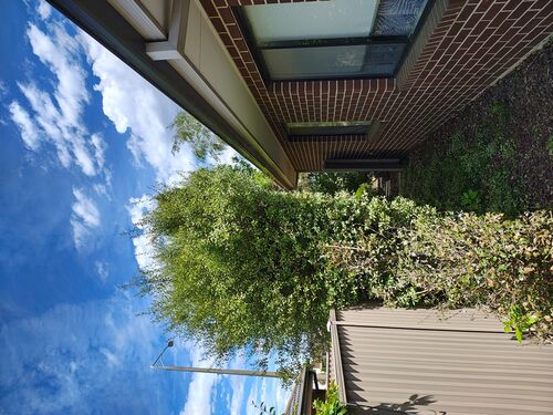 I + O Property Maintenance + Gardening Ballarat