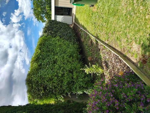 I + O Property Maintenance + Gardening Ballarat