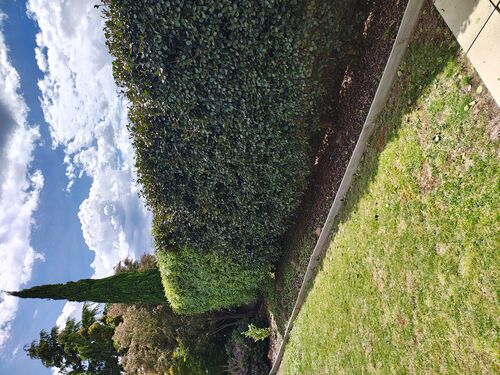 I + O Property Maintenance + Gardening Ballarat