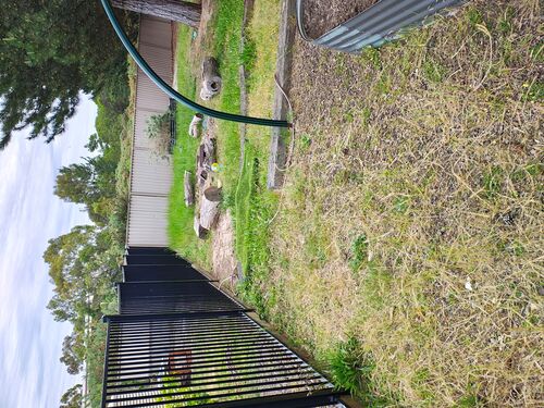 I + O Property Maintenance + Gardening Ballarat