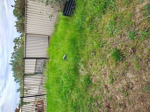 I + O Property Maintenance + Gardening Ballarat