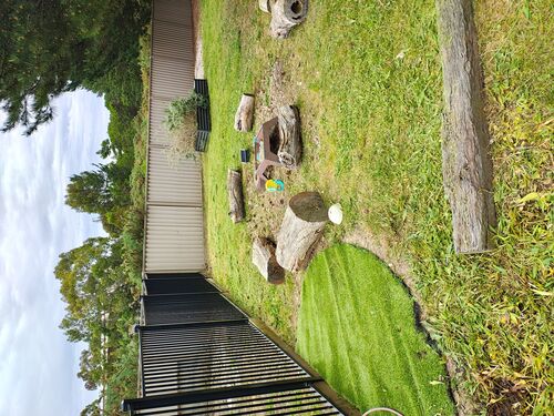 I + O Property Maintenance + Gardening Ballarat