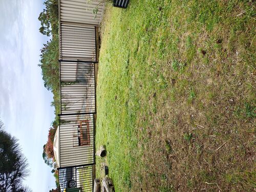 I + O Property Maintenance + Gardening Ballarat
