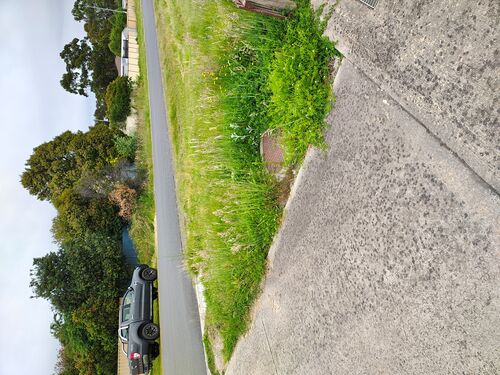 I + O Property Maintenance + Gardening Ballarat