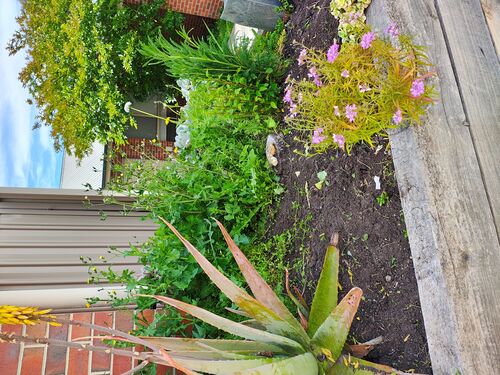 I + O Property Maintenance + Gardening Ballarat