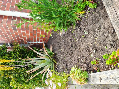 I + O Property Maintenance + Gardening Ballarat
