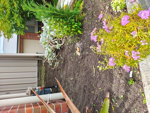 I + O Property Maintenance + Gardening Ballarat