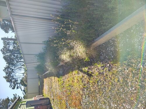 I + O Property Maintenance + Gardening Ballarat