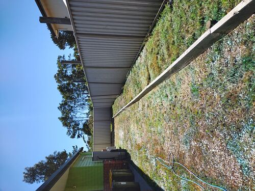 I + O Property Maintenance + Gardening Ballarat