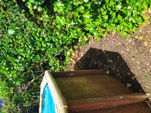 I + O Property Maintenance + Gardening Ballarat