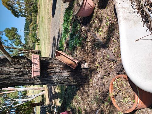 I + O Property Maintenance + Gardening Ballarat