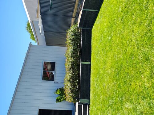 I + O Property Maintenance + Gardening Ballarat
