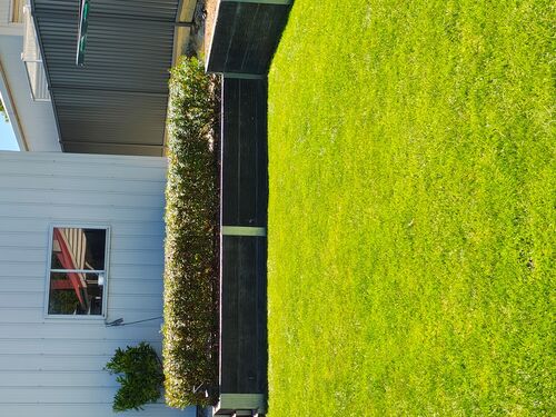 I + O Property Maintenance + Gardening Ballarat