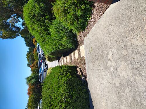 I + O Property Maintenance + Gardening Ballarat
