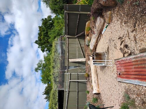 I + O Property Maintenance + Gardening Ballarat