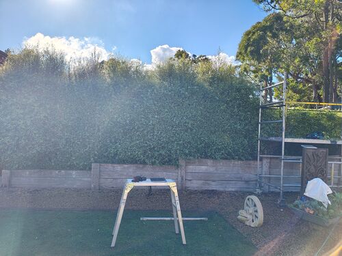 I + O Property Maintenance + Gardening Ballarat