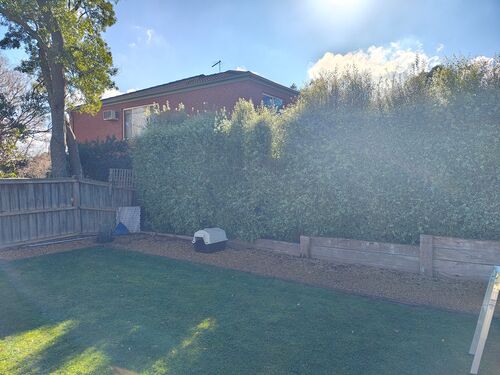 I + O Property Maintenance + Gardening Ballarat