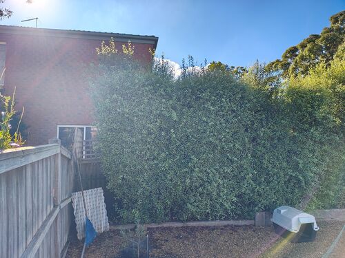 I + O Property Maintenance + Gardening Ballarat