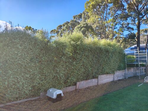 I + O Property Maintenance + Gardening Ballarat