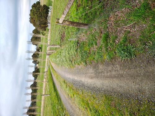 I + O Property Maintenance + Gardening Ballarat