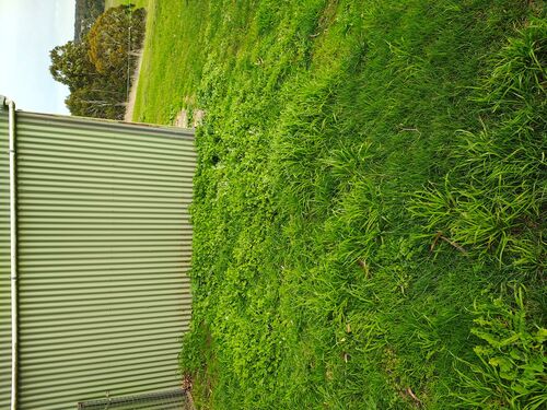 I + O Property Maintenance + Gardening Ballarat