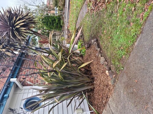 I + O Property Maintenance + Gardening Ballarat