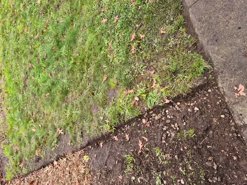 I + O Property Maintenance + Gardening Ballarat