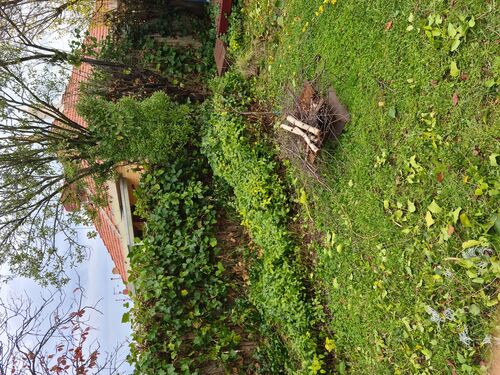 I + O Property Maintenance + Gardening Ballarat
