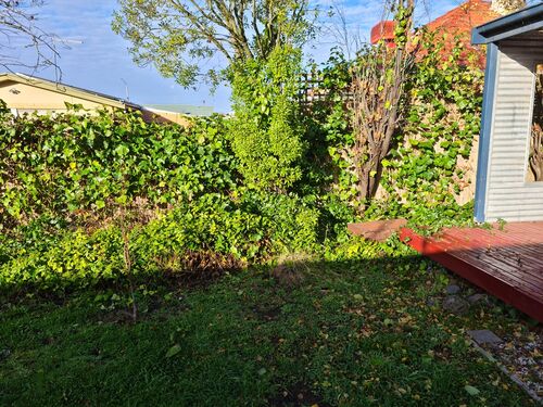 I + O Property Maintenance + Gardening Ballarat