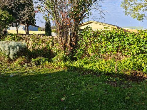 I + O Property Maintenance + Gardening Ballarat